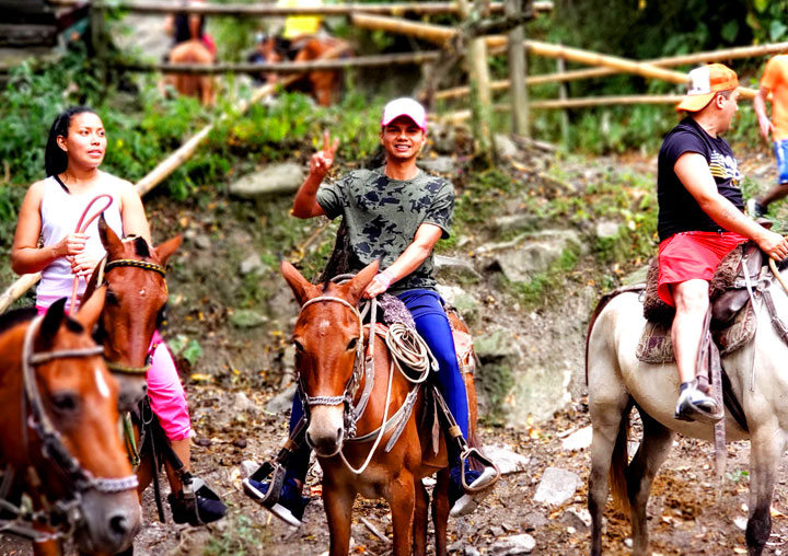 Cabalgata Tobia